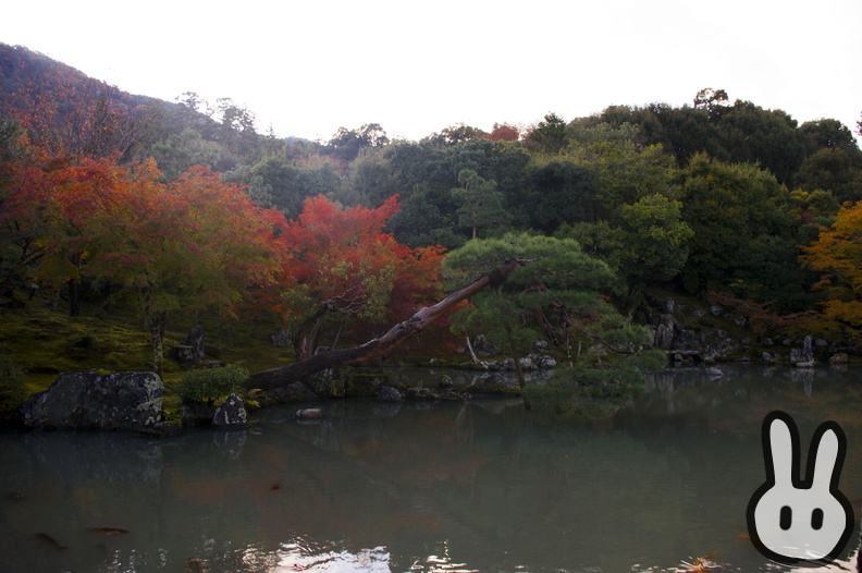 Arashiyama 084.jpg